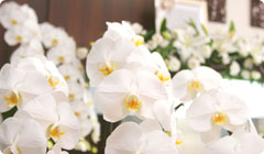 大切なご葬儀に『よいお花』をお使いください
